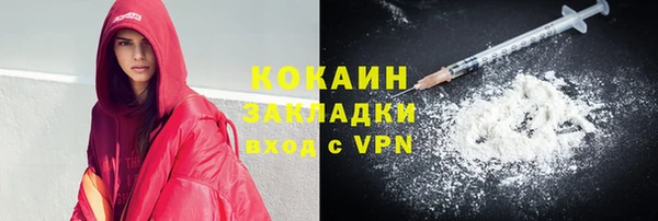индика Вязники