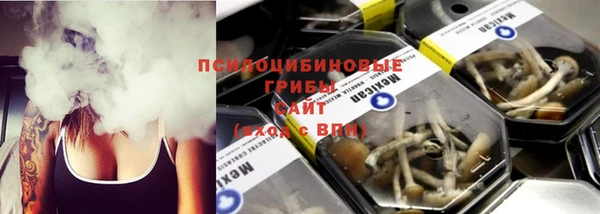 прущие грибы Горняк