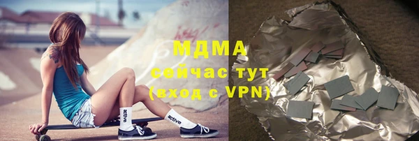 прущие грибы Горняк