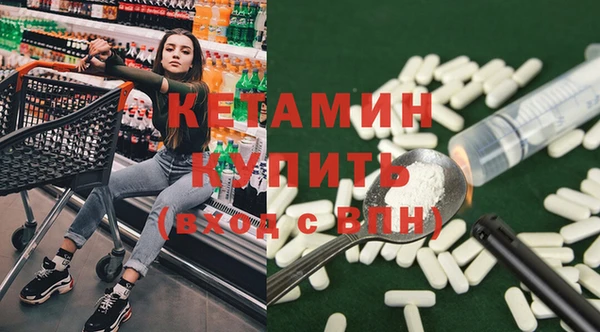 шишки Ельня