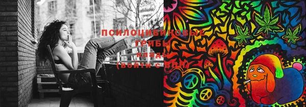 индика Вязники