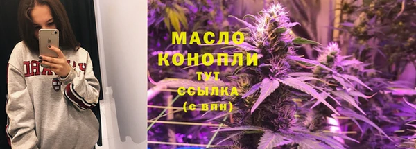 индика Вязники
