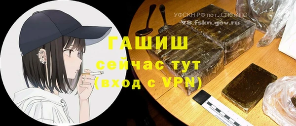 индика Вязники