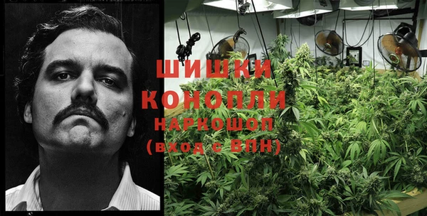 индика Вязники
